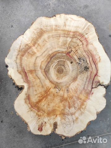 Торцевой спил дерева, слэбы из дерева