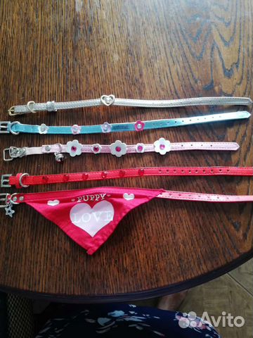 Ошейник для маленькой собаки или кошки