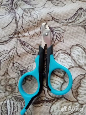 Аксессуары для собак