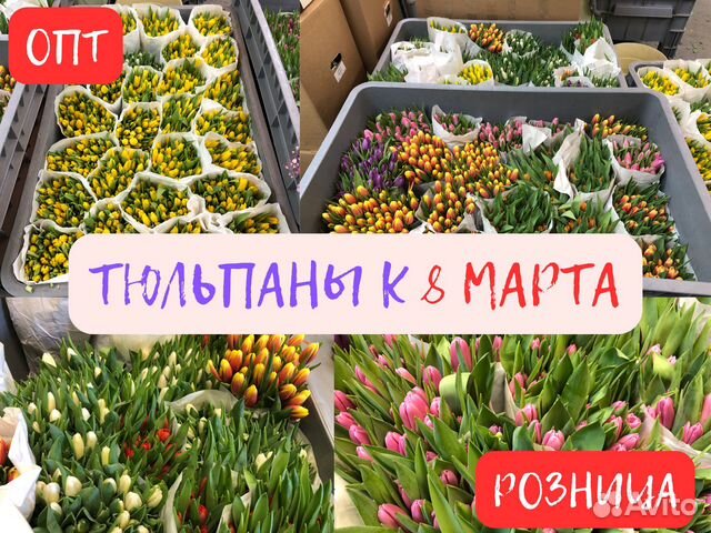 Роза Хризантема цветы 101 роза букеты