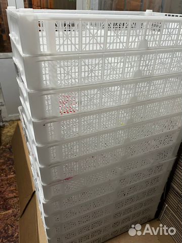 Пластиковые ящики для ягод, фруктов и грибов