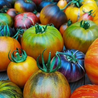 Продаю семена коллекционных томатов и перцев