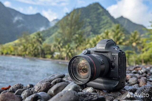 Зеркальный фотоаппарат любой