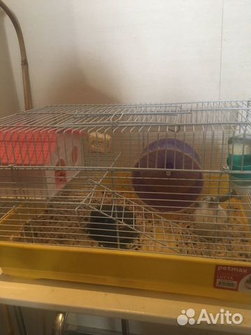 Передержка животных и птиц, содержащихся в клетках