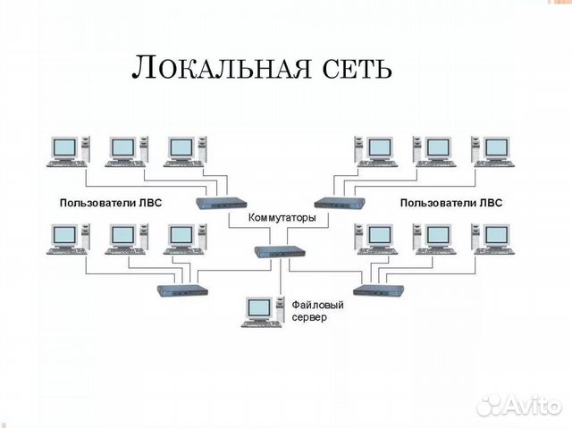 Скс, лвс