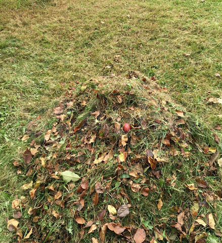 Участок 14 сот. (ИЖС)