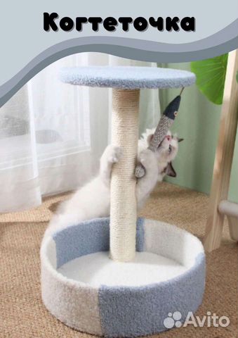 Когтеточка