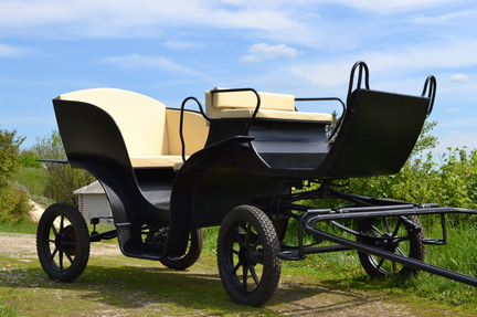 Фаэтон, карета, сани для лошадей и пони