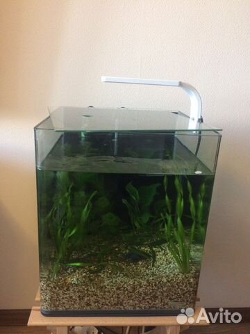 Аквариум 30 литров dennerle NanoCube