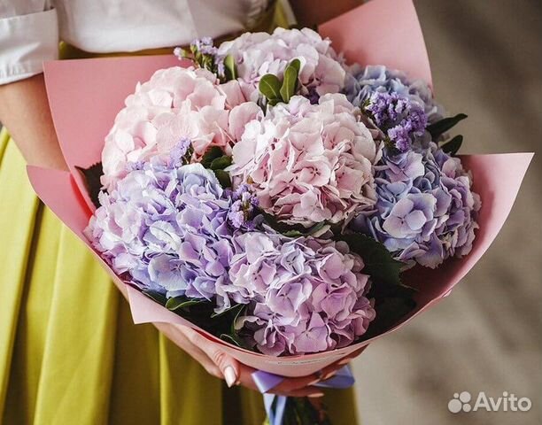 Букет из гортензий 11 21 31 51 101 Доставка