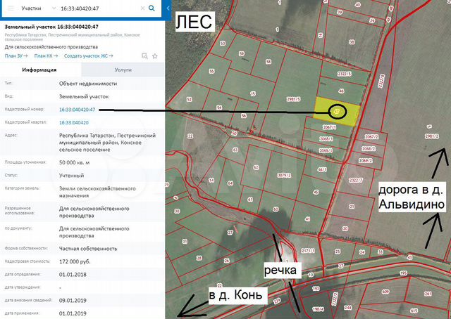 Кадастровая карта пестрецы