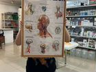 Плакат по анатомии объявление продам