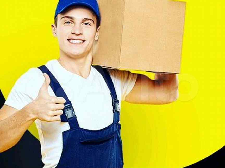 Грузчики орск. Требуется грузчик на склад. Работа грузчиком орск. Разгрузка товара в магазине. Работа грузчиком орск.