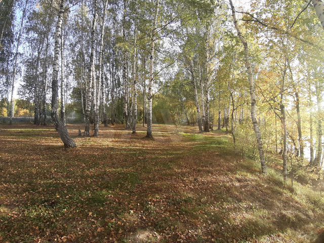 Участок 7 сот. (ИЖС)