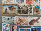 Почтовые марки ссср, редкие, коллекционные