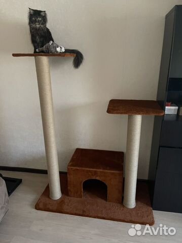 Игровые комплексы и домики для котов