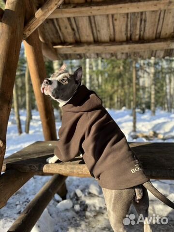 Одежда худи для собак на заказ