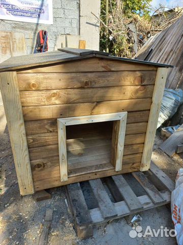 Собачья будка