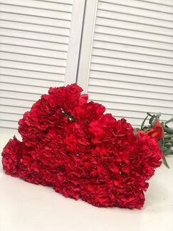 Гвоздика, Купить гвоздики оптом, Цветы Спб