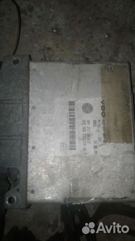 Мозги газель камминз