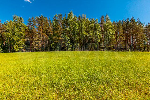 Участок 5 га (СНТ, ДНП)