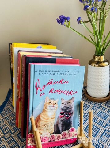 Книги современных писателей