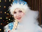 Дед Мороз и Снегурочка в Туле. Научное шоу объявление продам
