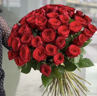 Цветы 51 роза
