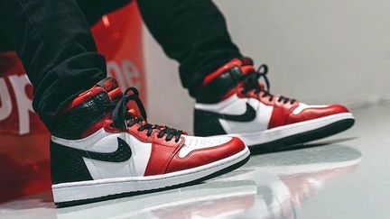 Jordan 1 Retro High Satin Snake Chicago (W),11 US