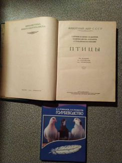 Две книги про голубей и птиц