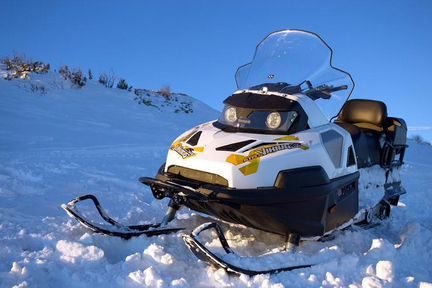 Снегоход Stels S600 Viking