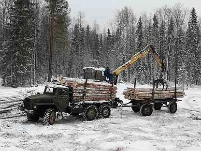 камаз лесовоз с прицепом роспуском. маз 6317 лесовоз. камаз фискарс лесовоз. машина лесовоз "евростар". камаз 5262 лесовоз.