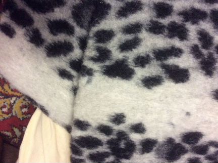 Пальто зимнее