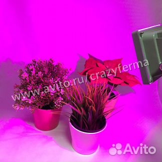 Фитосветильник 60W (Арт.0043)