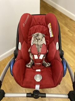 Автолюлька maxi cosi