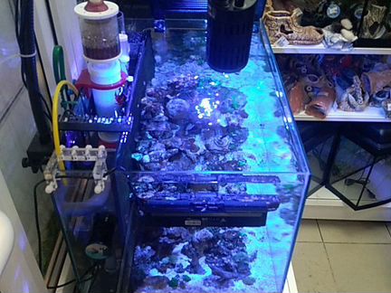 Ремонт аквариумов любой сложности