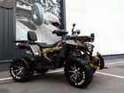 Квадроцикл MotoLand 200 wild track X PRO 2021 года