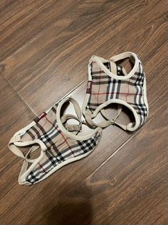 Шлейка для собаки