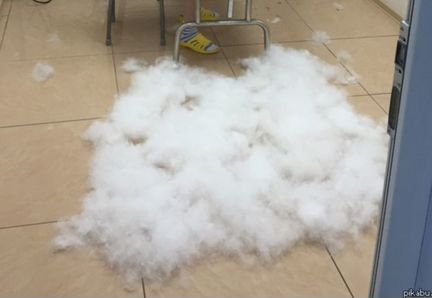 Шерсть самоеда