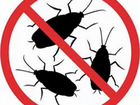 Уничтожение насекомых вредителей объявление продам