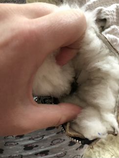 Угги детские