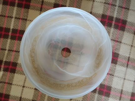 Светильник потолочный плафон