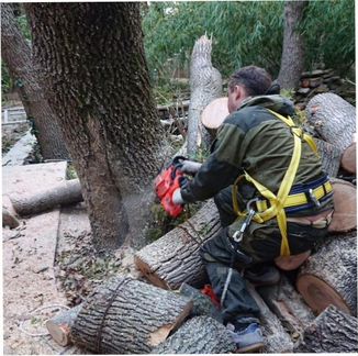 Расчистка участка спил деревьев