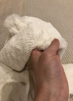 Комбинезон уличный - плюшевый Мишка