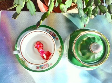 Зеленый чайный сервиз Дулево винтаж 21 предмет