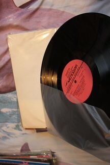 Виниловые пластинки владимир кузьмин