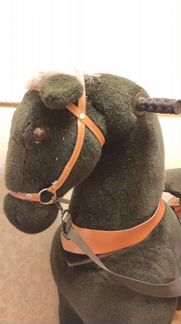 Поницикл большой