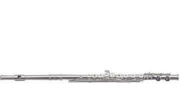 Флейта Roy Benson FL-602RІ