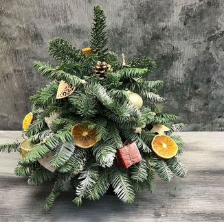 Экологические ёлки